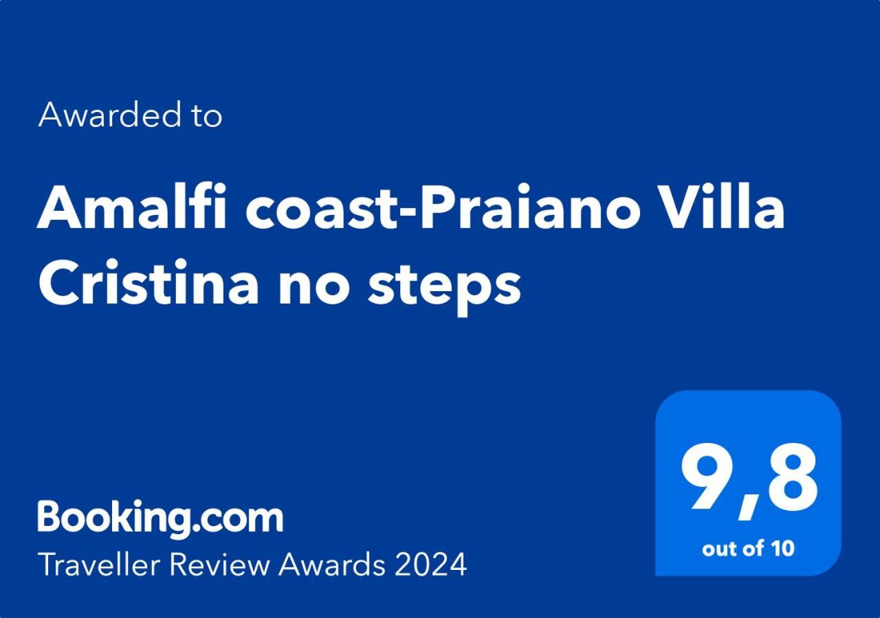Villa Cristina -No Steps-Amalfi Coast Views -Hot Tube 普莱亚诺 外观 照片